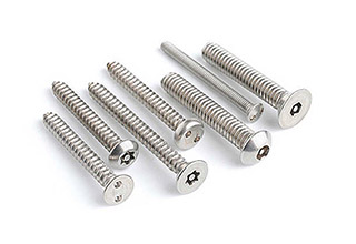Titanium Screws